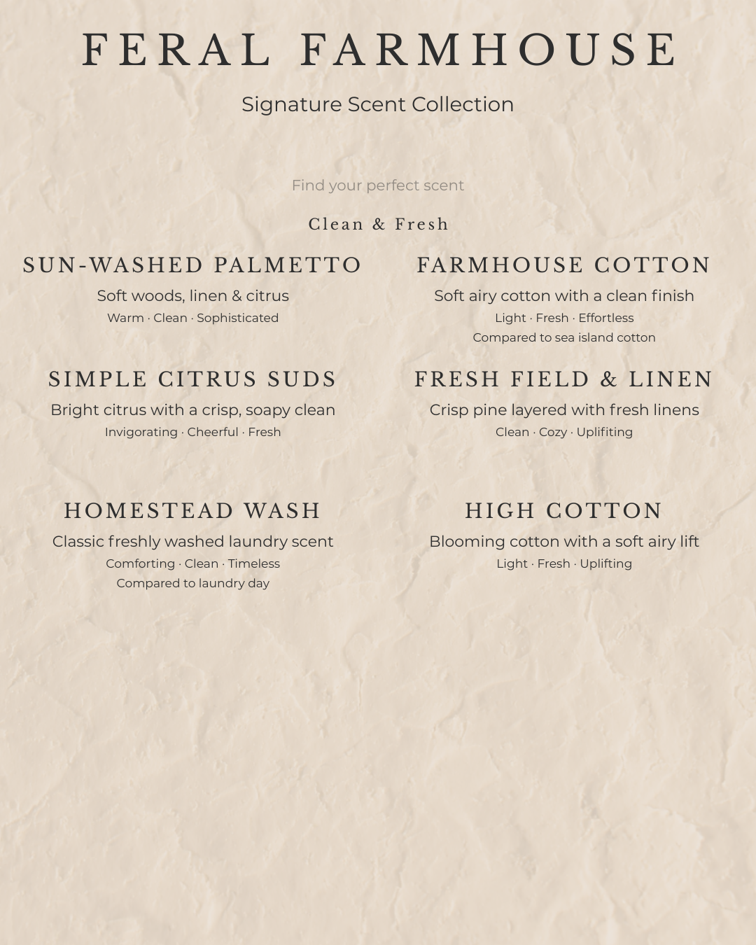 Washhouse Powder | 24 oz Powder Laundry Detergent